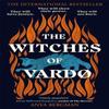 The Witches of Vardo by Anya Bergman Paperback Book 9781786581952