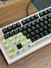 Retro Frosted Transparent PC Keycaps for Wireless Backlit Keyboards