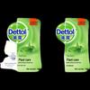 Dettol Antibacterial Hand Wash Twin Pack (Moisturizing & Classic Pine)