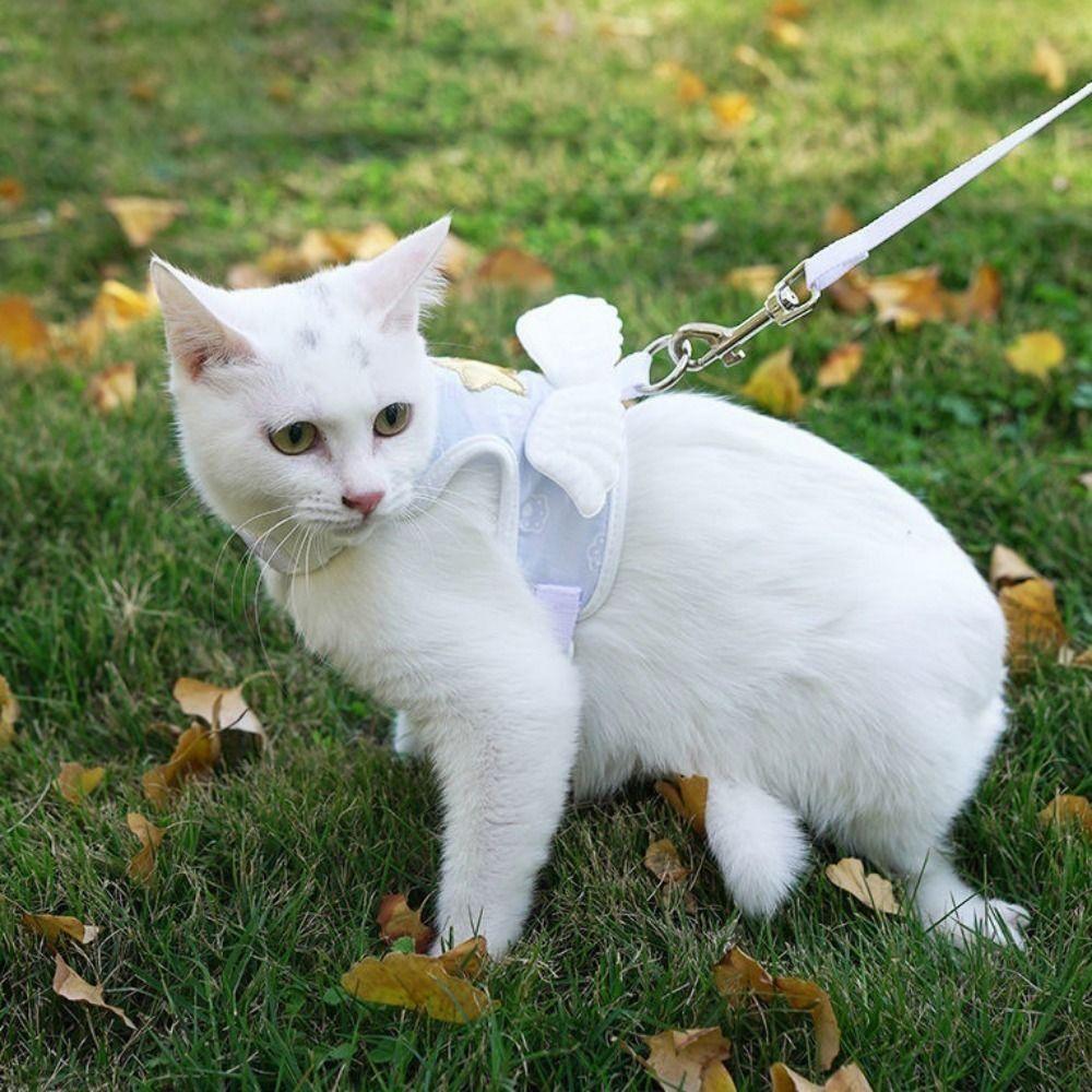 Breakaway with Wings Escape Proof for Walking Cat Collar Cat Vest Cat Harness Leash Dog Necklace