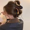 Korean Retro Large Claw Clip for Thick Hair - High-End Updo Hair Claw Clip 2025