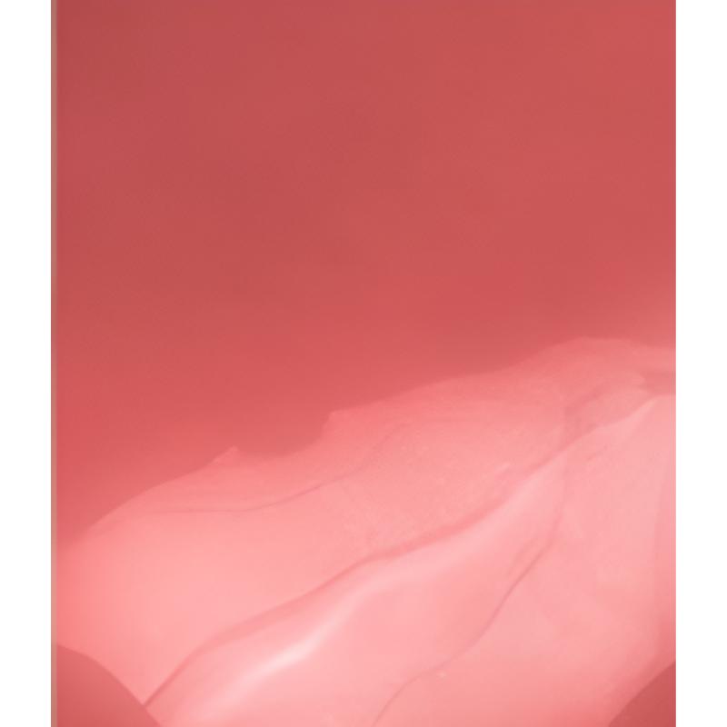Rom&nd The Juicy Lasting Tint