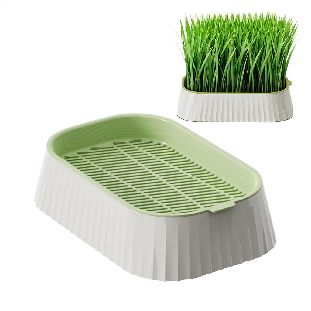 Pet Cat Grass Planter Box Cat Grass Growing tray Hydroponic Cat Grass Planter Wheat Grass Growing Pot Nursery Cat Planter Tray