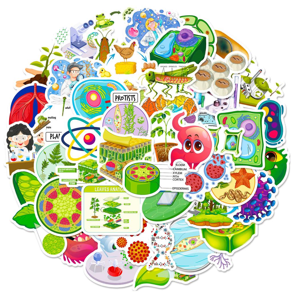 50 Cartoon Biology Stickers Cute Cartoon Biology Class Children'S Stationery Notebook Water Cup Diy Waterproof
