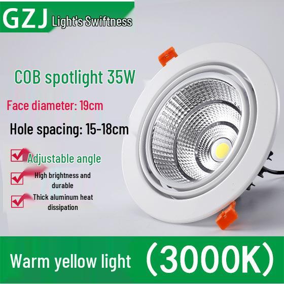 Recessed 20W Spotlight Downlight for Clothing Stores, 15-30W Commercial Ceiling Light