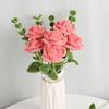 Colorful Pipe Cleaners, Bright Colors Chenille Stems for Crafts, DIY Flowers Twistable Pipe Cleaners, Creative Projects for Kids And Adults