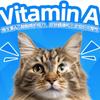 Pet Multivitamin & Calcium Tablets for Cats and Dogs - Health Supplement