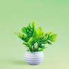 with Flowerpot Monstera Leaf Artificial Plant Green Leaves Simulation Green Plant  Desktop Ornament