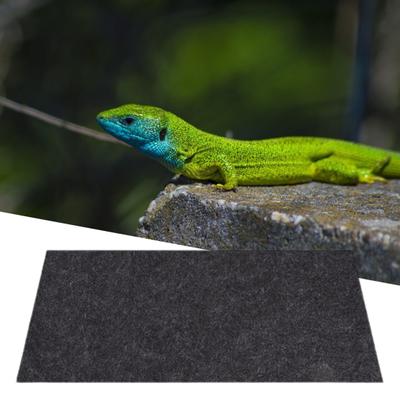Covor pentru reptile, moale, convenabil, rezistent la uzură, reptile, șopârlă, broasca țestoasă, pentru amenajare a teritoriului, consumabile pentru animale de companie
