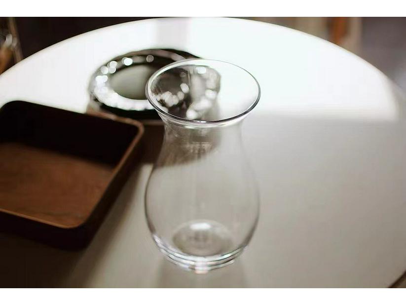 Modern Minimalist Glass Vase for Tulips & Ranunculus - Hydroponic Decor Accent for Living Room