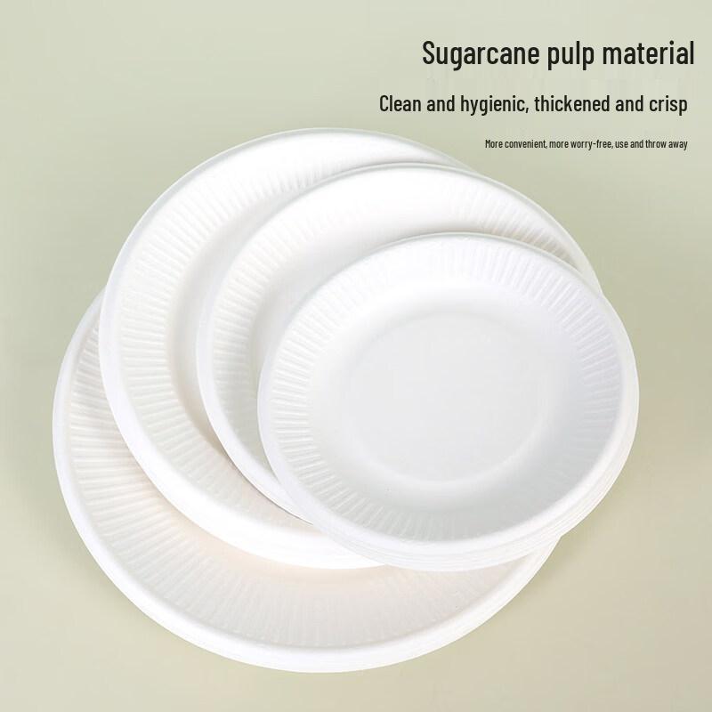 ZISIZ Disposable Rectangular Paper Plates