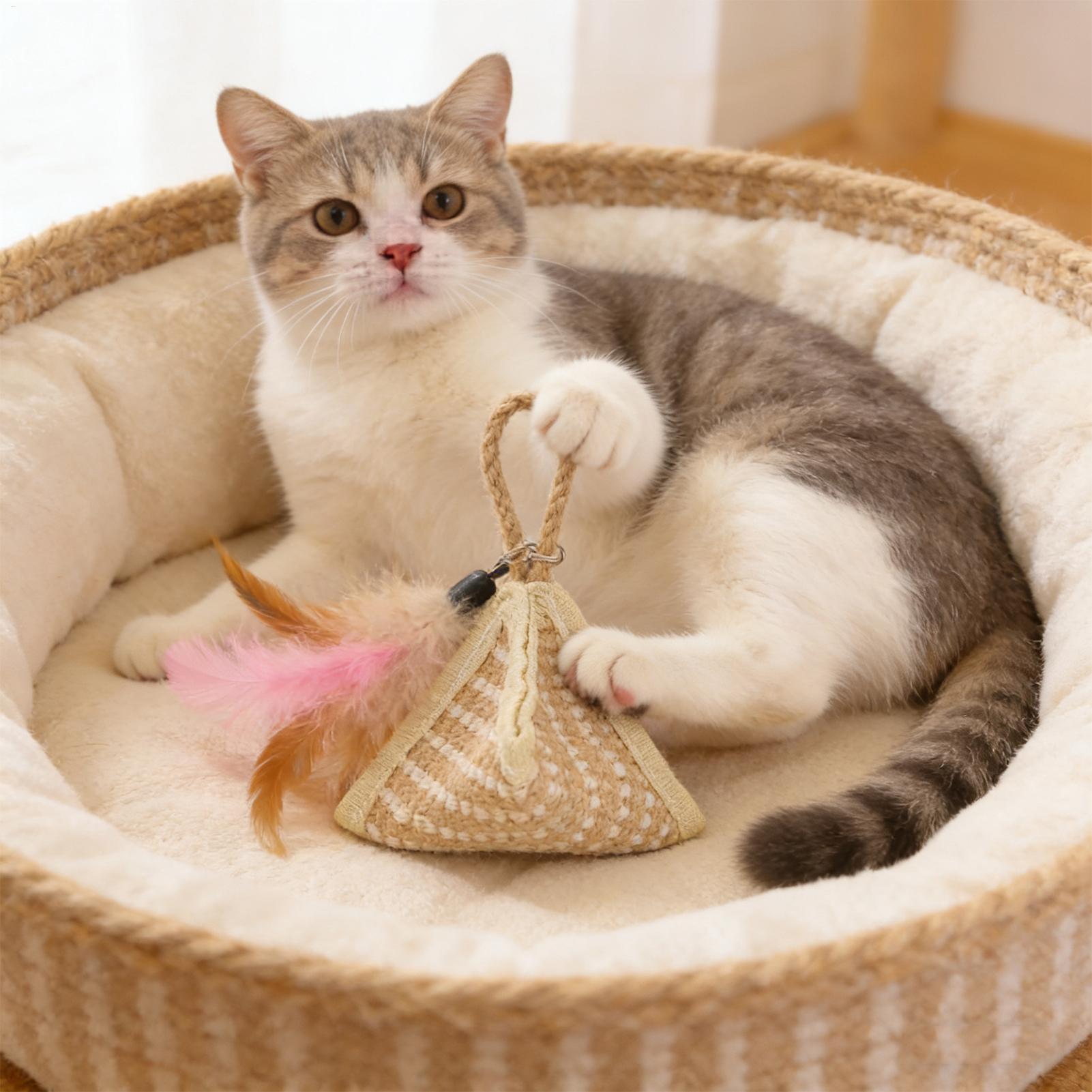 

Catnip Toys Kitten Scratching Supplies Kitten Paw Grinding Toys for Pet Parents Animal Lovers Veterinary Clinics Indoor Play CN