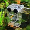 Suction Cup Aquarium For Baby Fishes Guppy Hatchery Aquarium Accessories Breeding Box Incubator