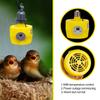 220V Pet Animals Heating Lamp Warm No Light Thermostat Thermostat Heater Reptile Box Heating Lamp 220V 150W For Incubator E27