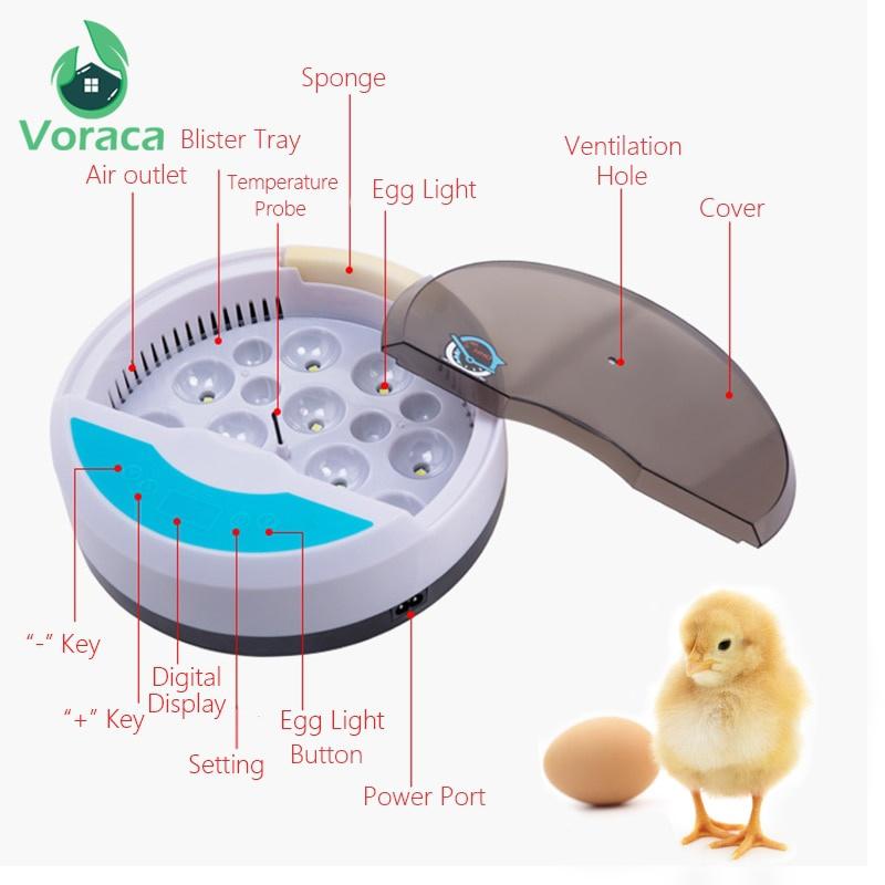 110V/220V Yumurta Kuluçka Makinesi LED Otomatik Civciv Çıkarma Makinesi Sıcaklık Kontrollü Dijital Kuluçka Makinesi 9 Yumurta Mini Civciv Büyütme Makinesi Kanatlı Kuş