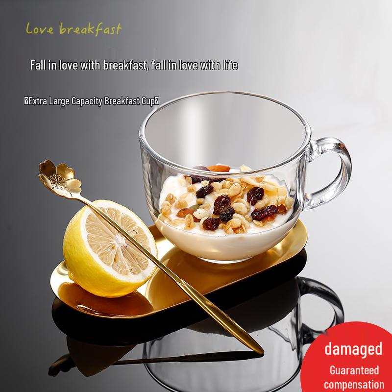 Glass Breakfast Cup with Lid and Handle for Oats, Yogurt, Milk, Coffee - Large Capacity, Transparent