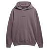 Superdry Micro Logo Hoodie