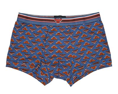 Emporio Armani Men's Eagle Logo Boxer Briefs, Size XL, Brown/Blue, EM000231, AF10793, FB108, Made In Italy [Parallel Import]