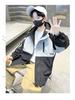 2025 Boys' Spring & Autumn Windbreaker: Trendy Jacket for Middle & Big Kids