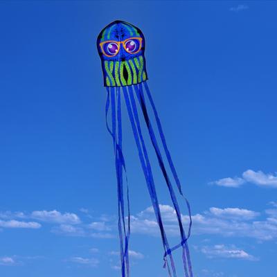 3 Stück Kinder-Oktopus-Drachen, Spielzeug-Cartoon-Tier-Drachen mit langem Schwanz für Outdoor-Strand-Park-Ausflüge