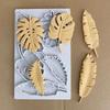 Hot Monstera Leaf Shape Peacock Cookies Stencil Coffee Decor Stencils Drawing Template Cake Decorating Tools Baking Accessories