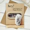 1pc Unique Cat Peeking Through Door Window Birthday Card - "Hey! I Just Want To Say Happy Birthday" Humorous Greeting Card