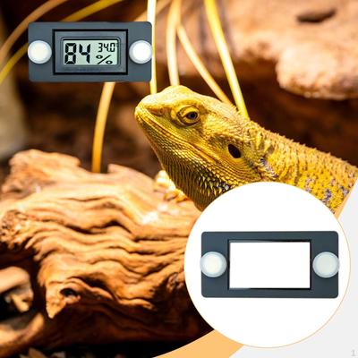 Holder for Reptile Terrarium, Amphibian Enclosures, , Compact Accessory, 7.6 X 5.1 Cm