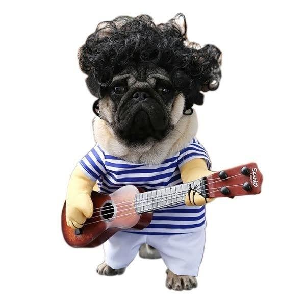 Disfraz para perro Disfraz de guitarrista