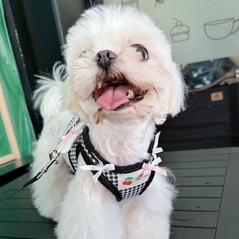 Verstellbares Hundegeschirr mit Leine Set Kleine Rassen wie Pudel Bichon Frise Komfort Passform Brustgurt Laufen
