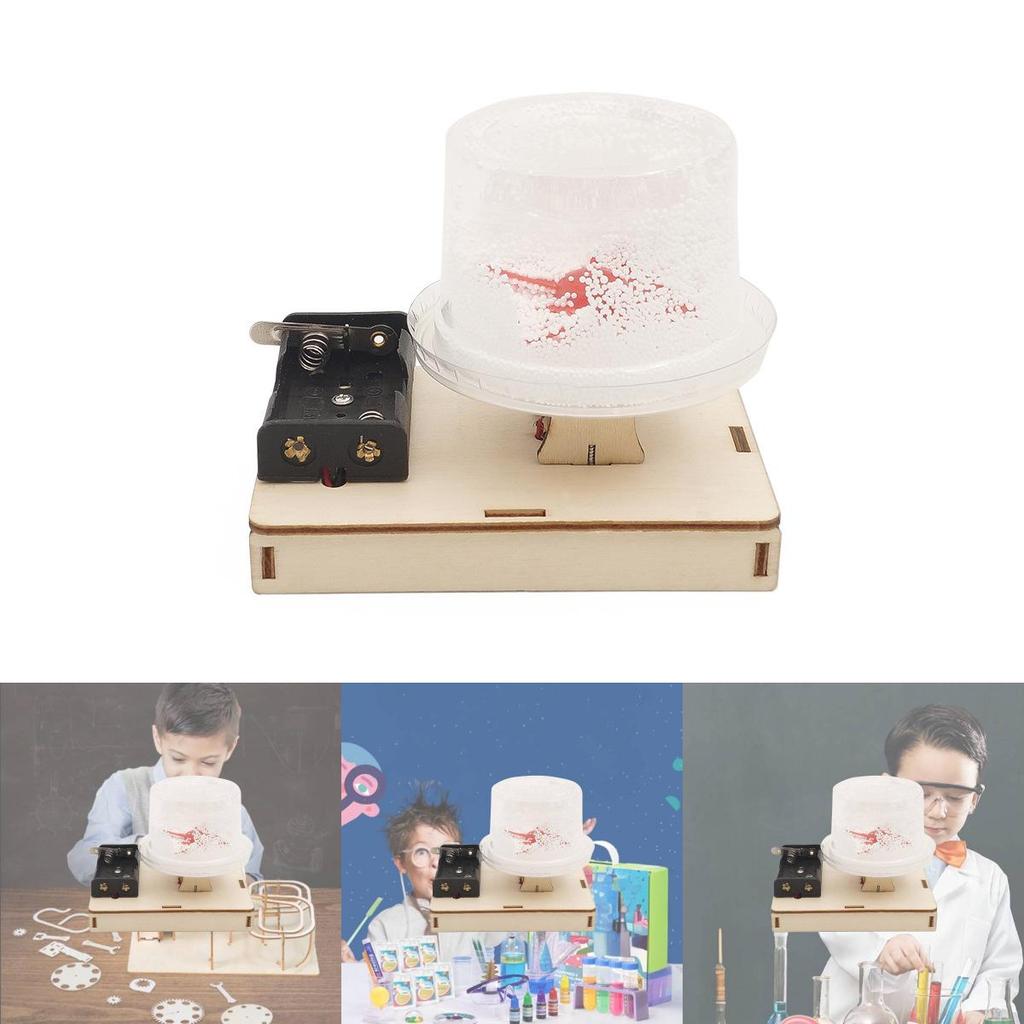 Educational Diy Electric Static Snow Toy Science Experiment Kit For Kids Wood Material