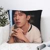 The Early Spring Jing Boran Pillow Case Retro Trendy Pillow Cover Soft Pillowcases For Living Room Sofa