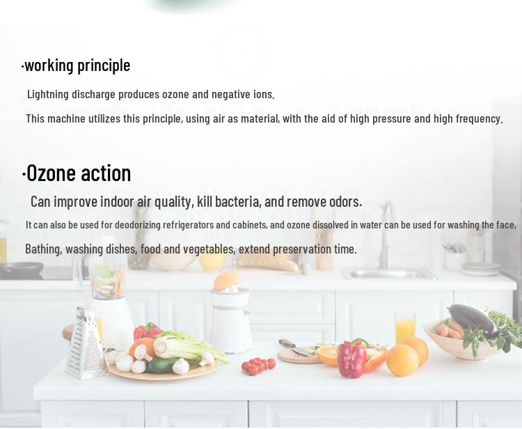 Home Ozone Vegetable and Fruit Washer with Active Oxygen Sterilizer