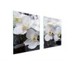 GLAS-KOCHFELD-SCHUTZPLATTE 85x52 ORCHIDEE