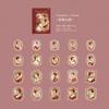 40 pcs Vintage portrait character sticker PET sticker pack diy ledger decorative seal sticker Scrapbook calendar art Diy crafts