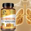 120 peças Cordyceps 1000mg - Extrato de Cogumelo - Aumenta a Energia e a Resistência, Suporte Imunológico