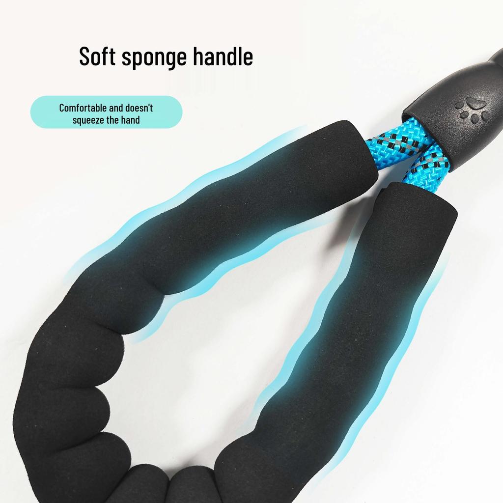 Grenzübersetzliche Leuchtende Nylon-Hundeleine - Nachtgebrauch, Verschleißfest, Explosionsgeschützt