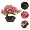 Artificial Bonsai Pine Tree Simulation Plant Realistic Home Decor Desktop Adornment For Indoor Outdoor Emulated Bonsai Pine Tree