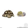 Genuine CANDY TOY Figure Small Scale Model Handheld Little Cute Friend Cynops Eublepharis Macularius Action Figure Model Toys