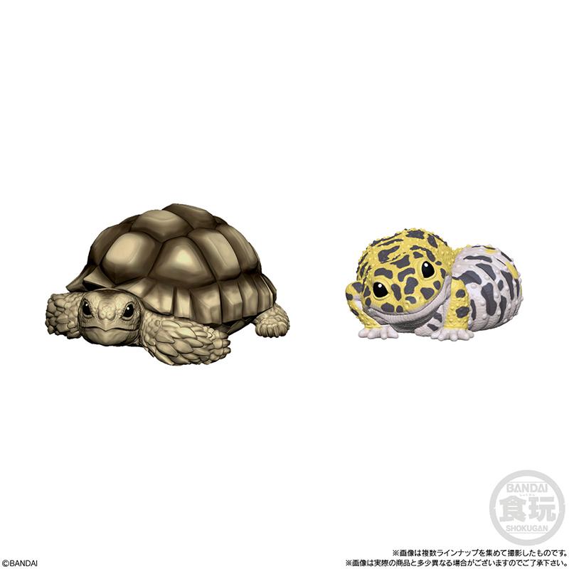 Genuine CANDY TOY Figure Small Scale Model Handheld Little Cute Friend Cynops Eublepharis Macularius Action Figure Model Toys