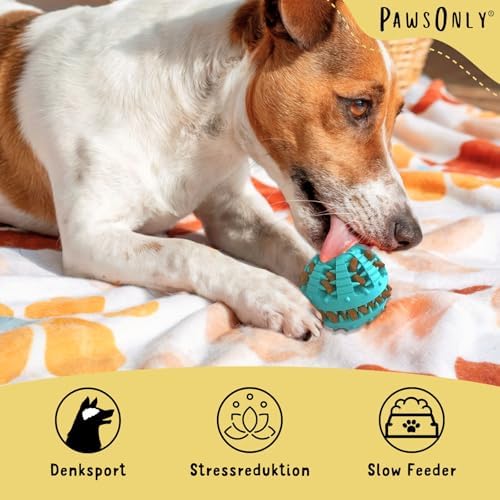 PawsOnly Balle Distributeur de Friandises pour Chien, Jouet Puzzle Interactif en Caoutchouc Naturel pour Petits Chiens, Jouet à Mâcher 6cm pour le Nettoyage des Dents et la Stimulation Mentale, Bleu