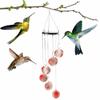 Beautiful Bird Water Feeder Outdoor Garden Yard Hummingbird Water Feeder with 6 Mouth Outdoor Hanging Garden