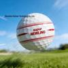 4-Layer Golf Ball Set with 360° Alignment for On-Course Play, Polyurethane, Special Gift Box