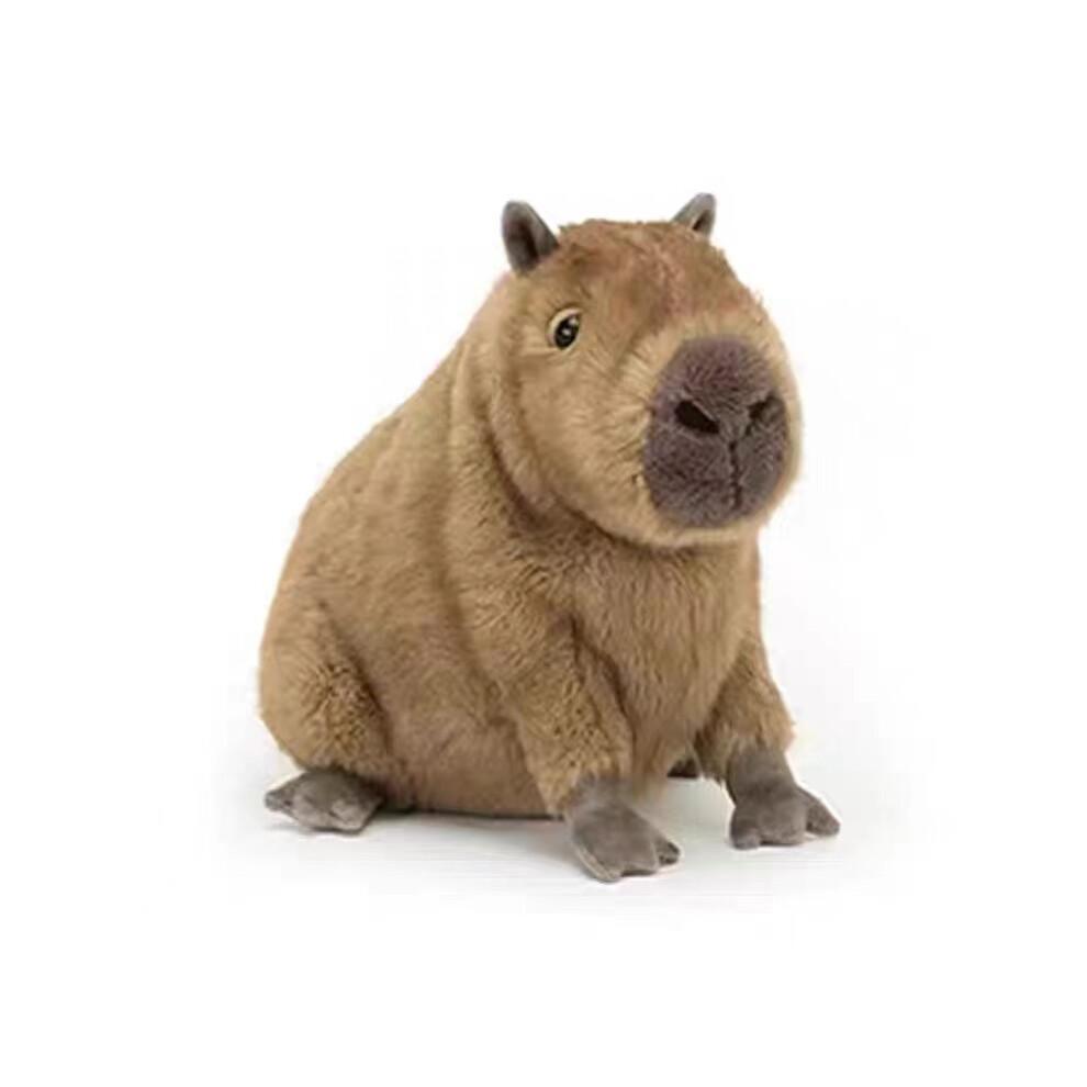 Capybara Plush, Stuffed Animal Toy, Gifts for Kids, 40cm