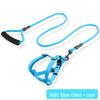 Adjustable Dog Leash and Collar Set for Small, Medium, and Large Dogs - Ideal for Walking Pets like Teddy and Golden Retriever