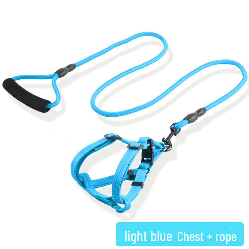 Adjustable Dog Leash and Collar Set for Small, Medium, and Large Dogs - Ideal for Walking Pets like Teddy and Golden Retriever