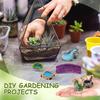 DEARMAMY Miniature Garden Decorations, Set of 15, Resin, Handmade Terrarium Ornaments, 1.93 x 0.87 x 0.87 inches, Micro Landscape, Dollhouse, Bonsai,