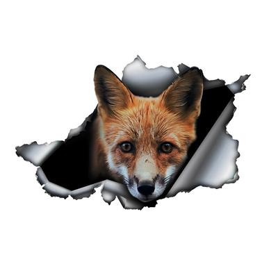 Cute Fox 3D Vinyl Car Sticker, Fun Insurance Bumper Sticker for Cars, Trucks, Motorcycles, Walls, Windows, PVC Material
