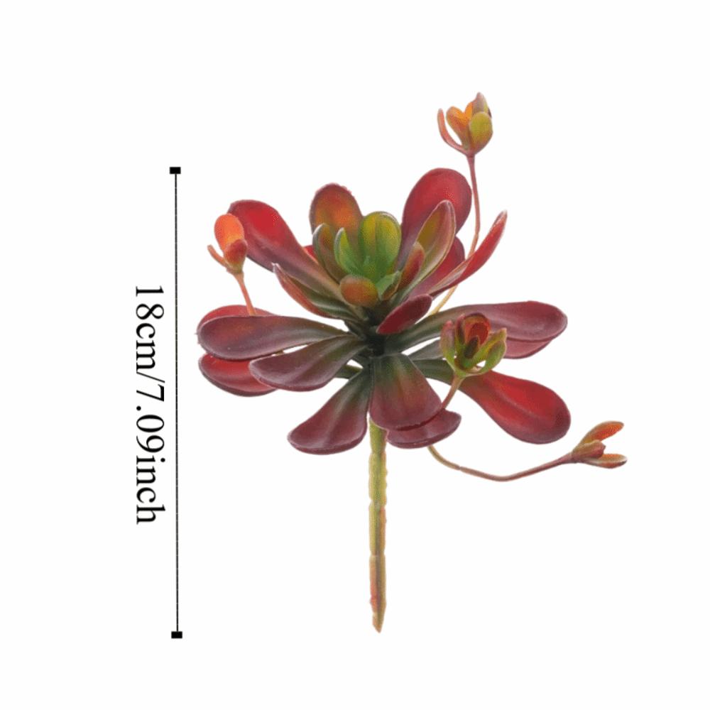 Lifelike Artificial Succulent Plant Real Touch Simulation Bonsai Plant  Home Office Decor