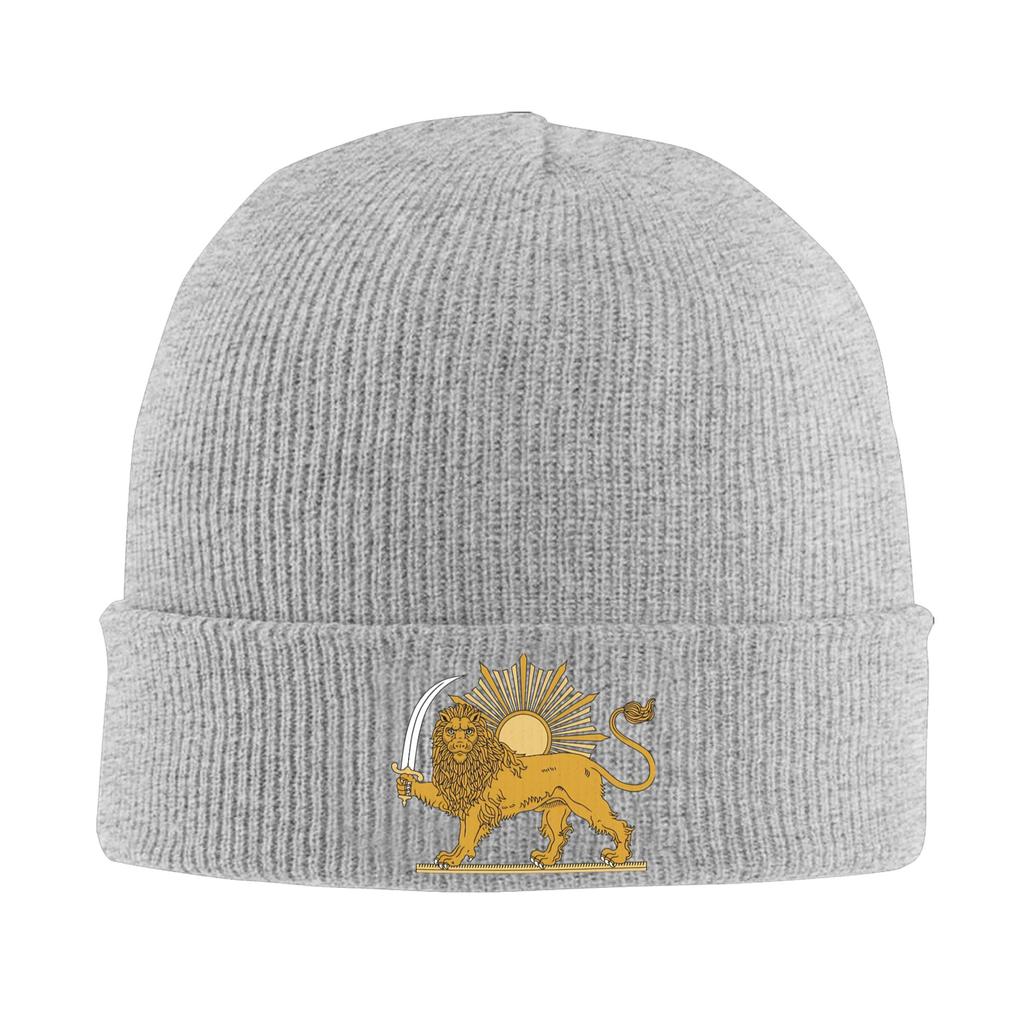 Lion And Sun Persian Emblem  Bonnet Hats Beanie Hats Autumn Winter Design Skullies Beanies Cute Unisex Women Unisex Hippie Warm Cap
