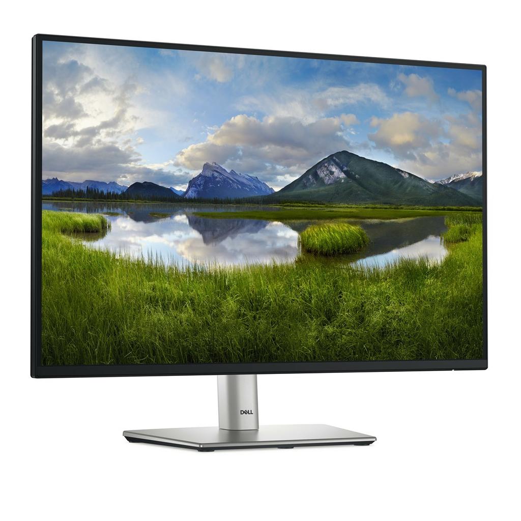 Dell Led 24 P2425E Monitor